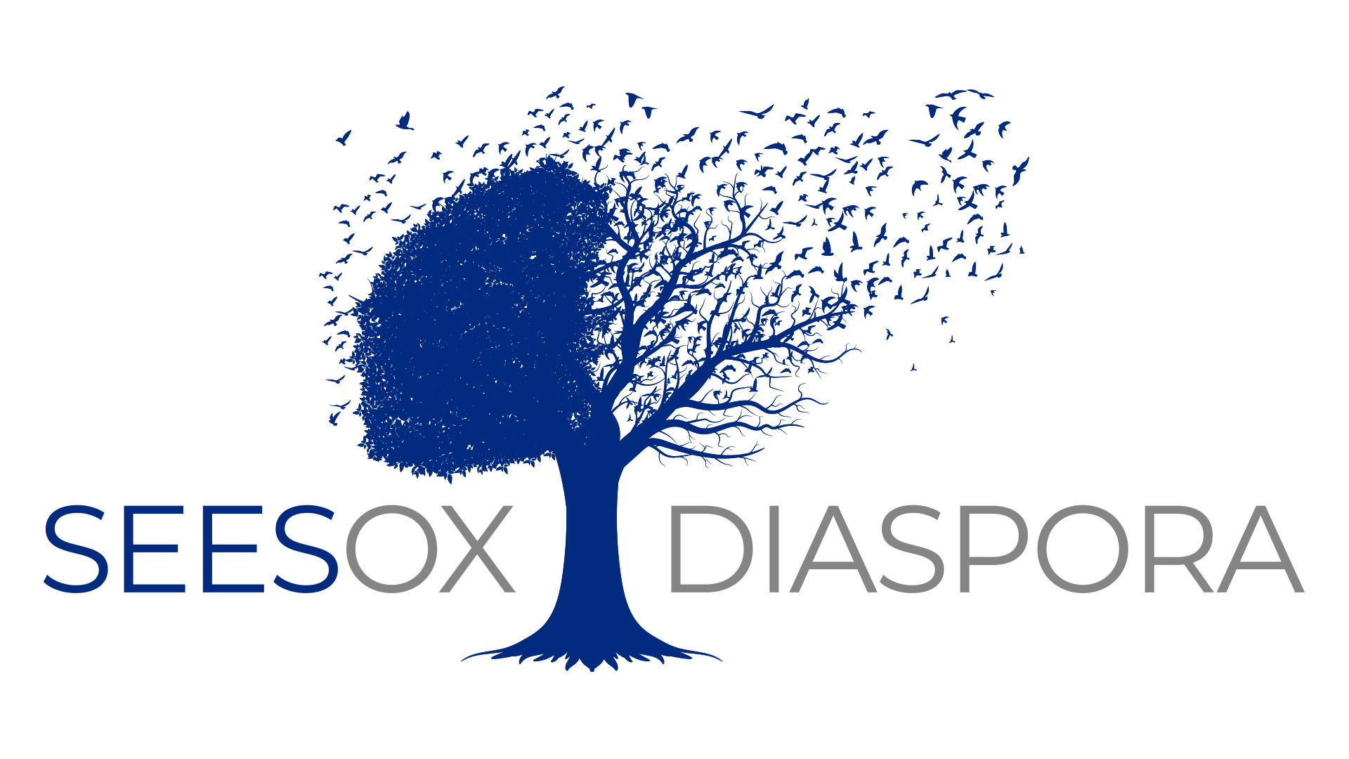 Diaspora philanthropy and volunteerism as a contestable process: Tracing connections and disconnections between diaspora and homeland in the Greek education sector